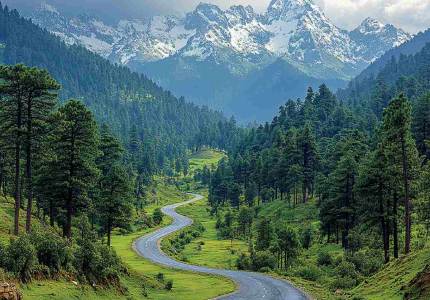 Manali Dharamshala Tour from Amritsar