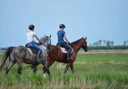 Amritsar to Dalhousie, Dharamshala & Manali Tour