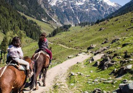 7-Day Kashmir Tour: Srinagar, Pahalgam, Gulmarg