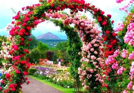 Amritsar to Shimla, Manali & Chandigarh Tour