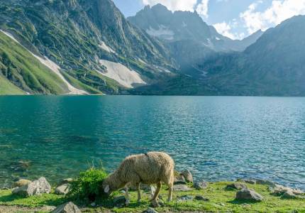 Pathankot to Kashmir Scenic Lakes Trip