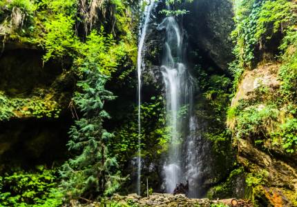 Chandigarh to Dharamshala via Dalhousie Tour